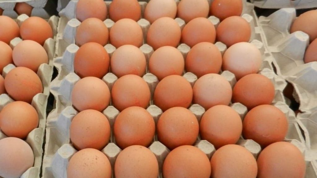 Uova ritirate dal mercato causa salmonella